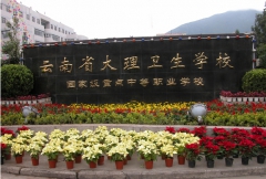 云南省大理卫生学校