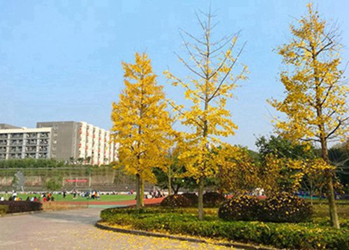重庆开设学前教育专业的职业中学名单一览表