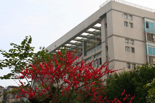 重庆电力高等专科学校报名条件是什么